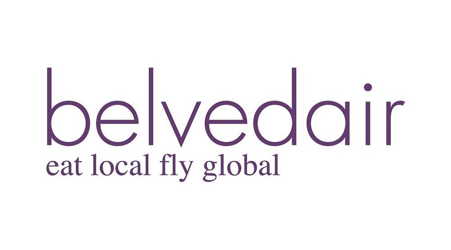 Klantlogo - Belved air